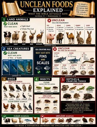 CLEAN AND UNCLEAN FOODS THAT SHOULD AND SHOULD NOT BE EATEN